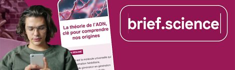 brief.science